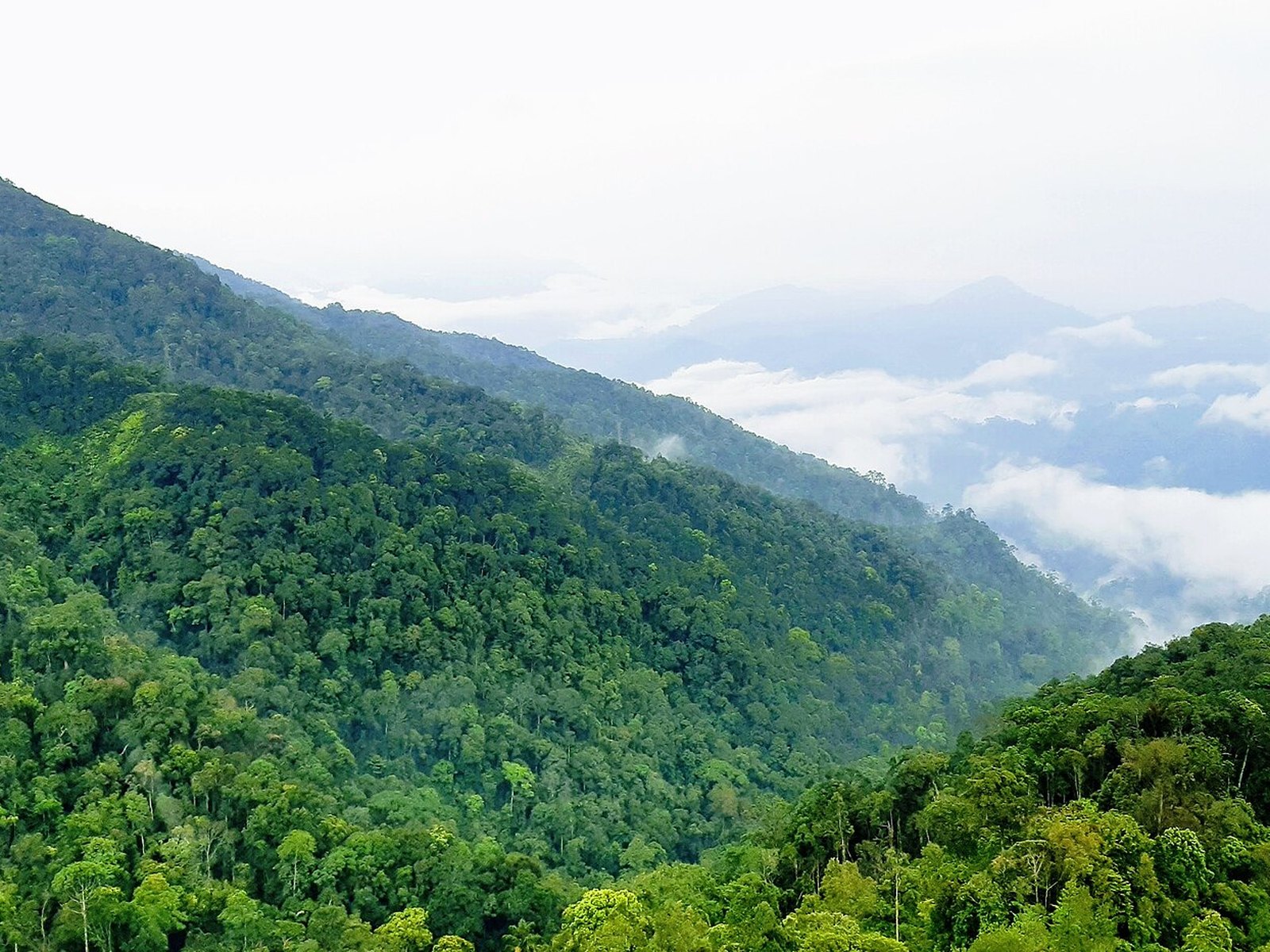 Genting Grand